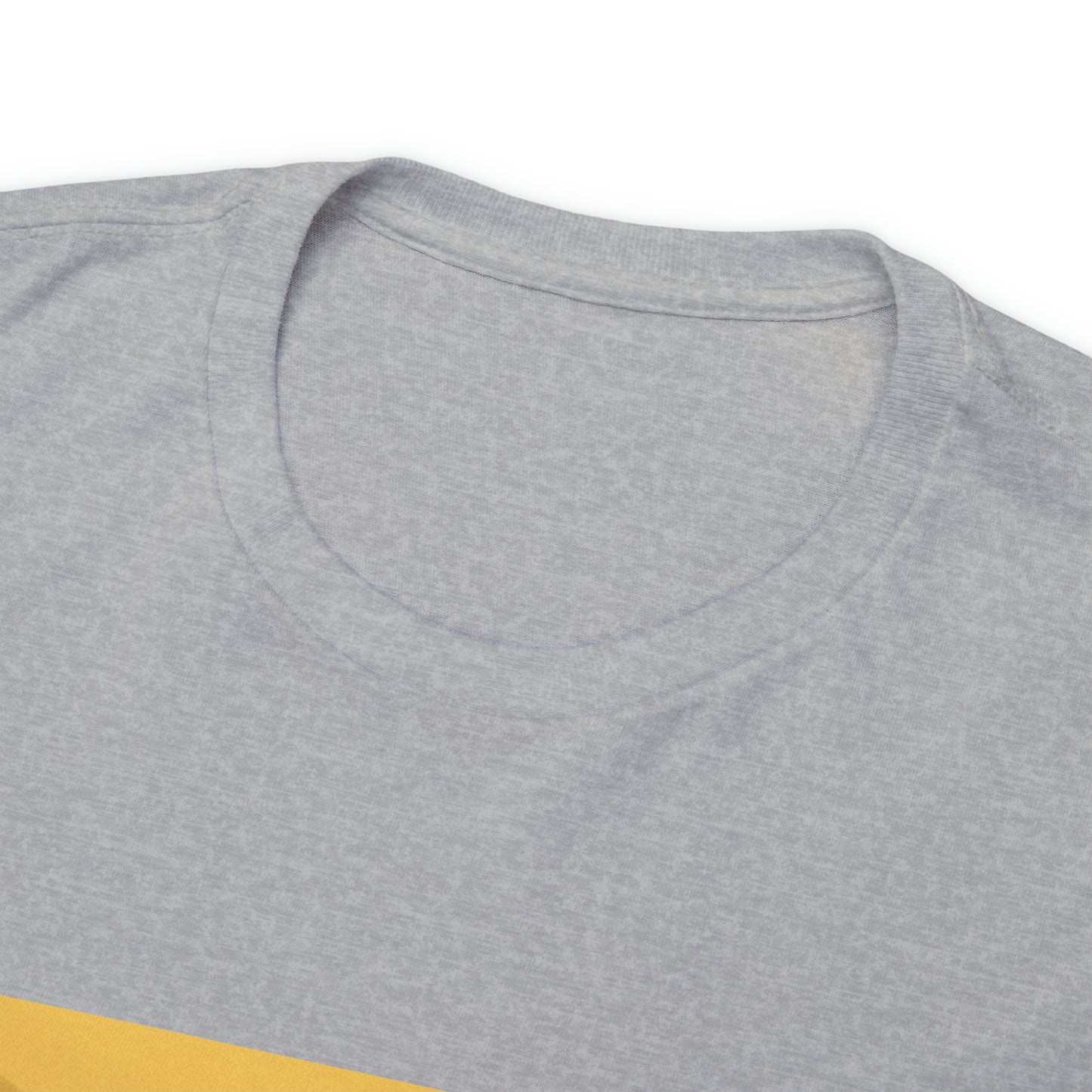 Springboks Celebrating - light shirts