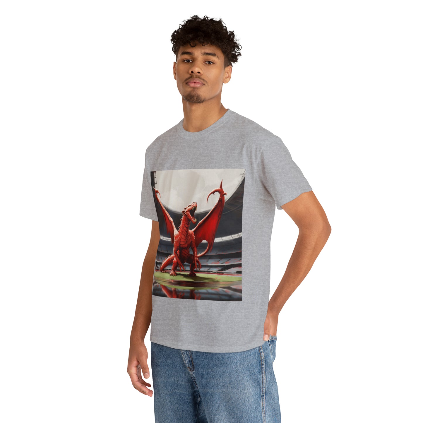 Welsh Dragon - light shirts
