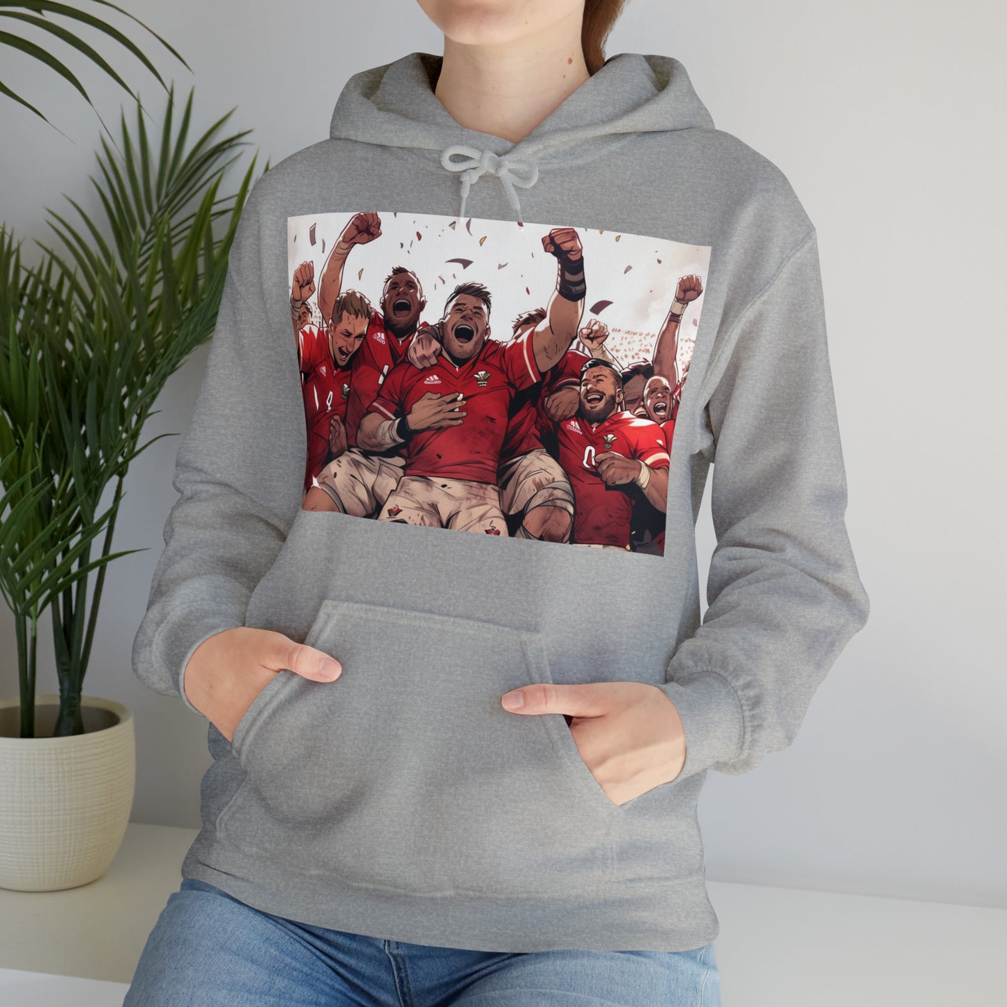 Wales Celebrating - light hoodies