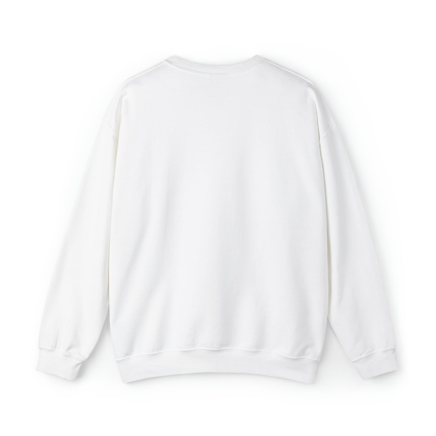 Serious Conor - light sweatshirts