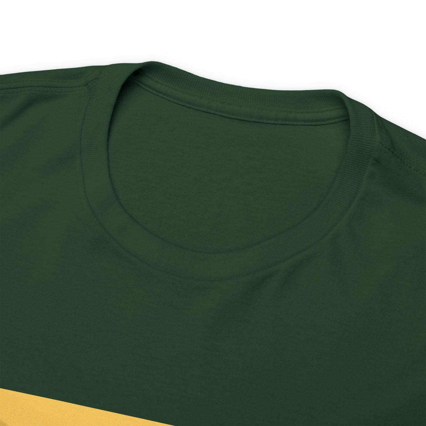 Springboks Celebrating - dark shirts