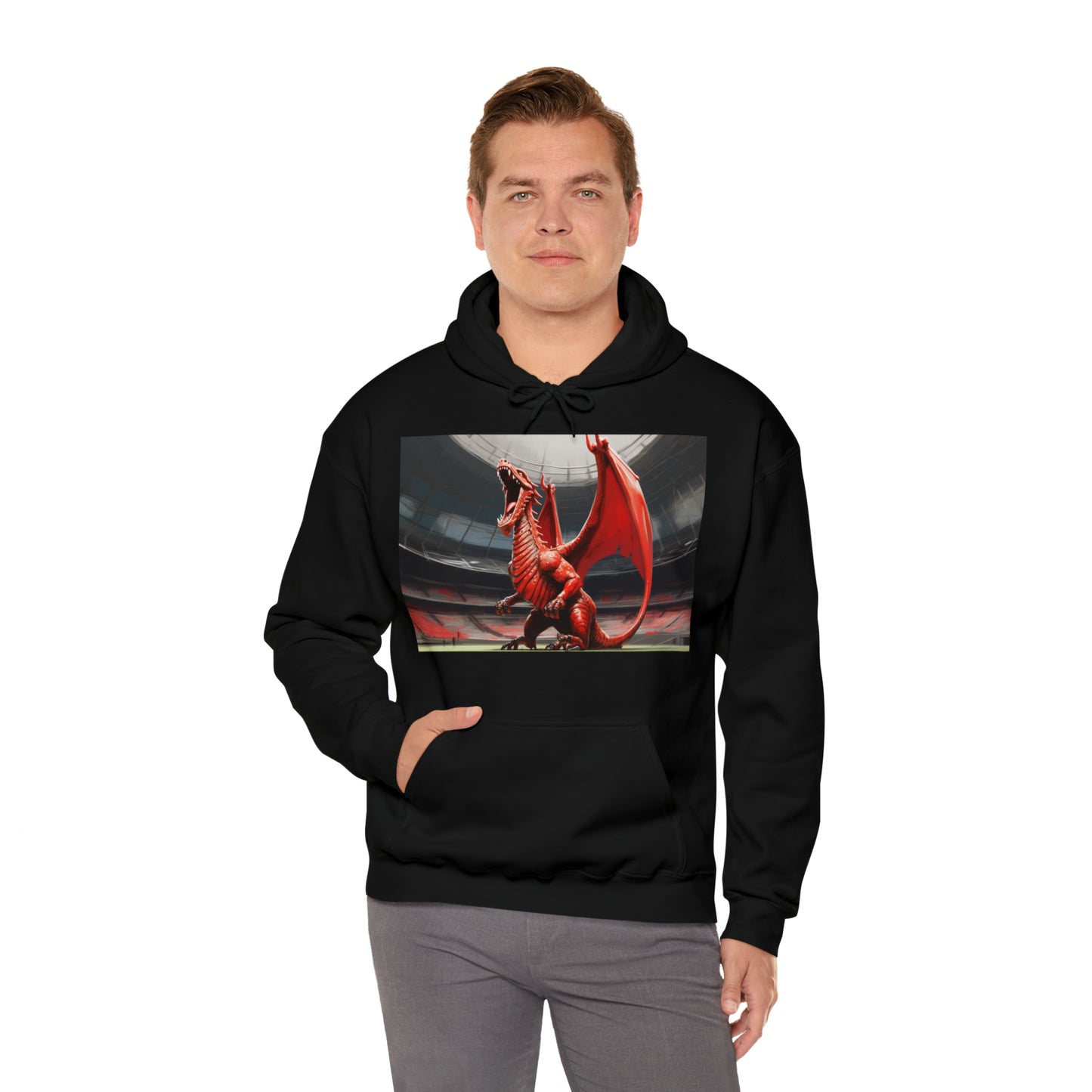 Welsh Dragon 2 - dark hoodies