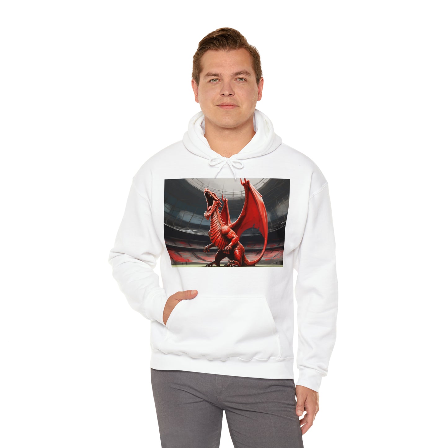 Welsh Dragon 2 - light hoodies
