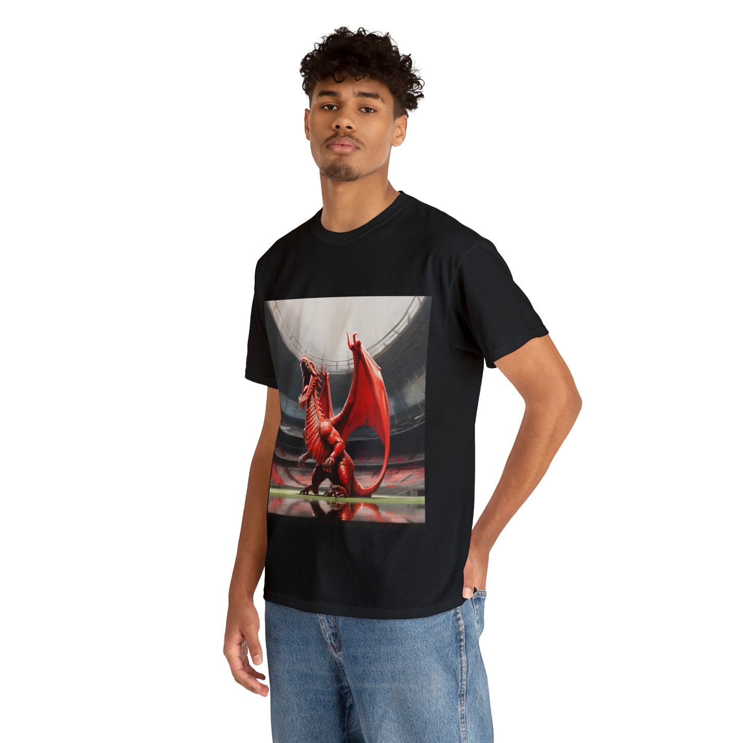 Welsh Dragon 2 - dark shirts