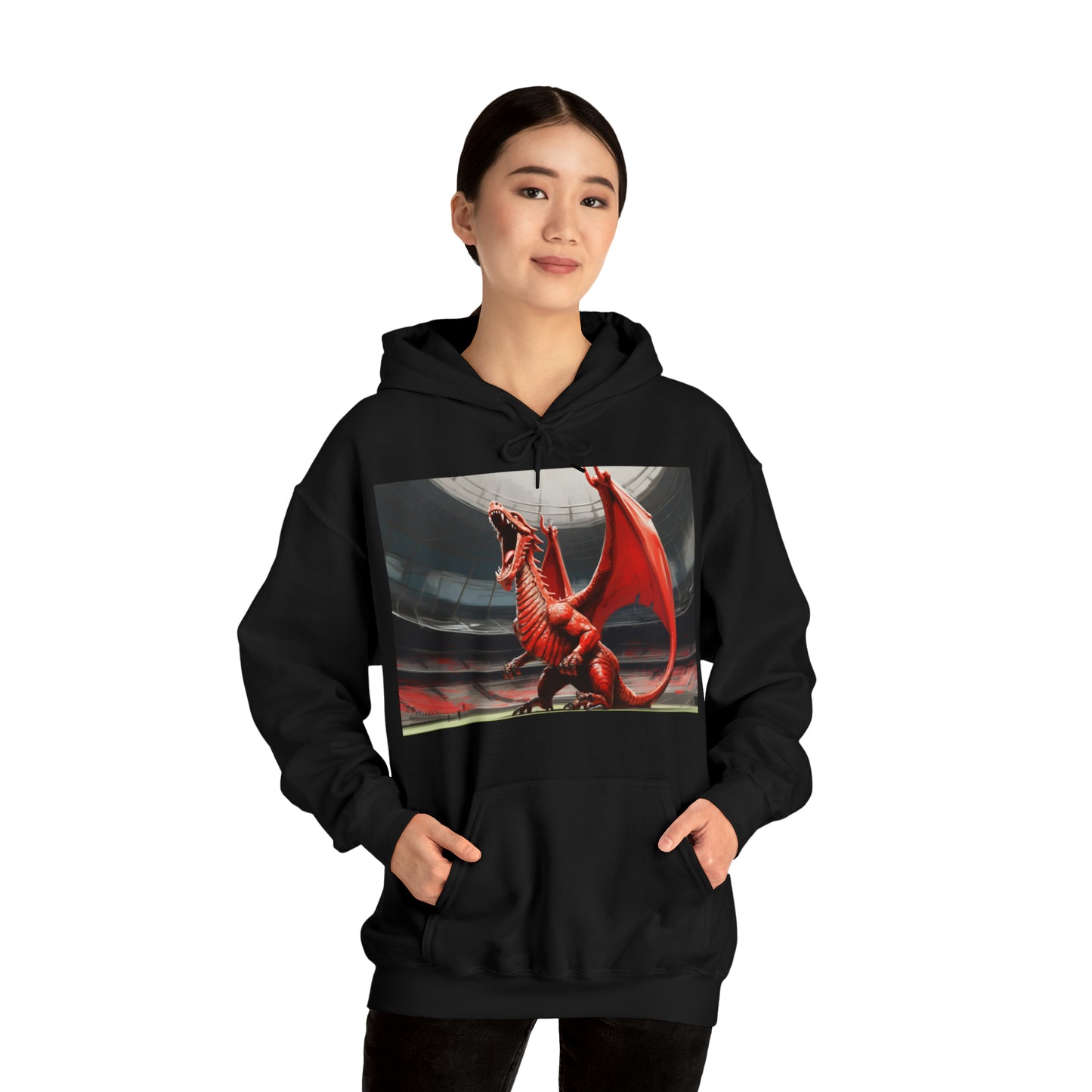 Welsh Dragon 2 - dark hoodies