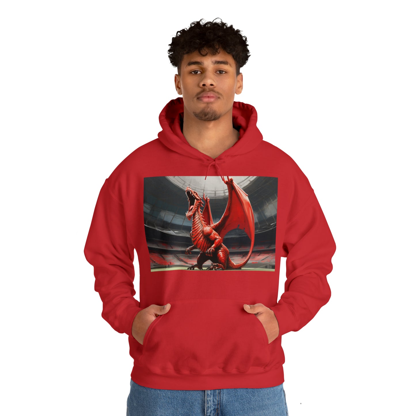 Welsh Dragon 2 - dark hoodies