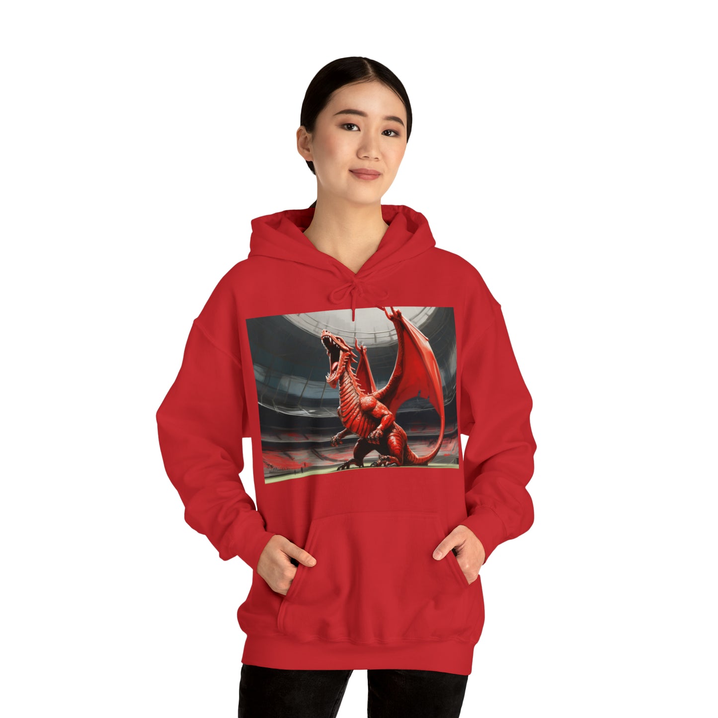 Welsh Dragon 2 - dark hoodies