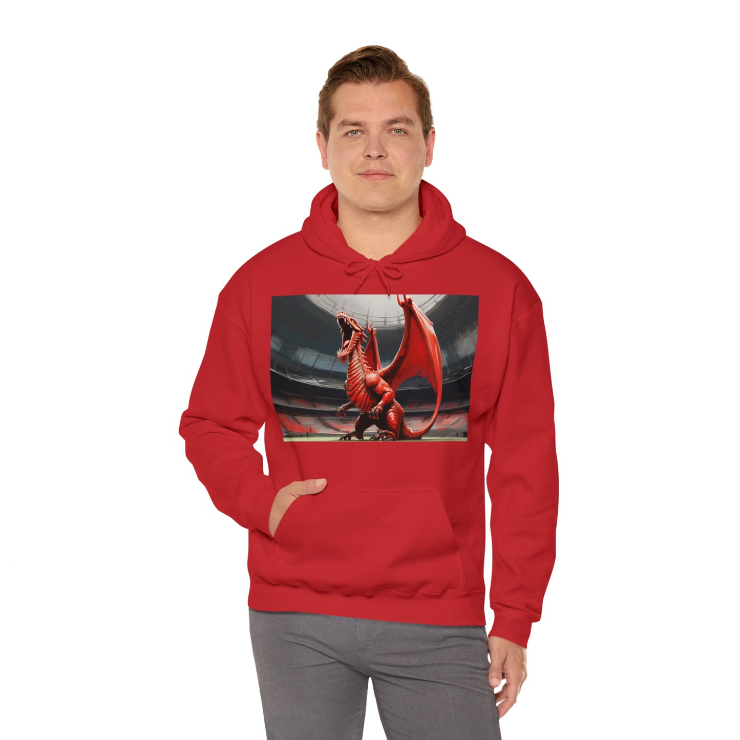 Welsh Dragon 2 - dark hoodies