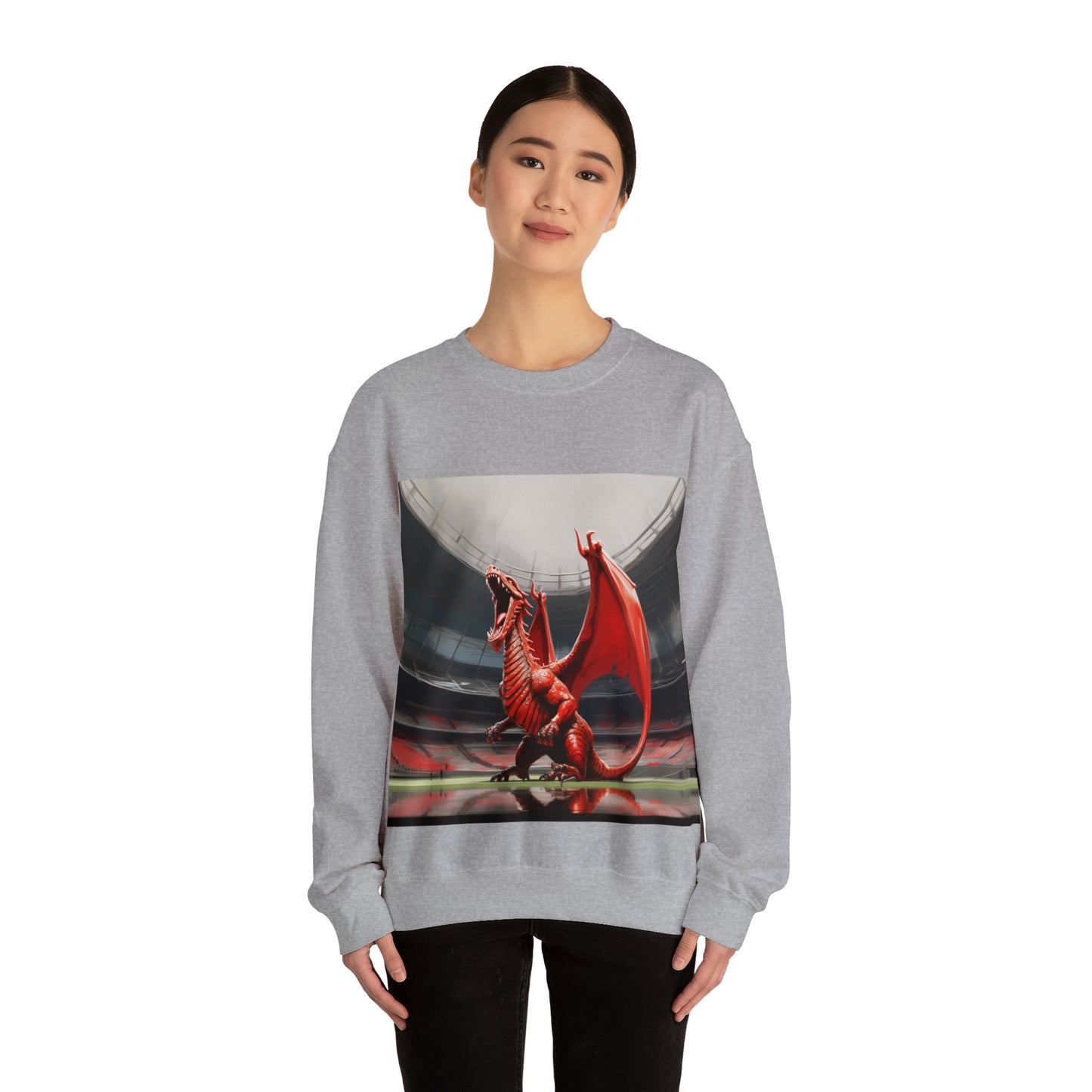 Welsh Dragon 2 - light sweatshirts