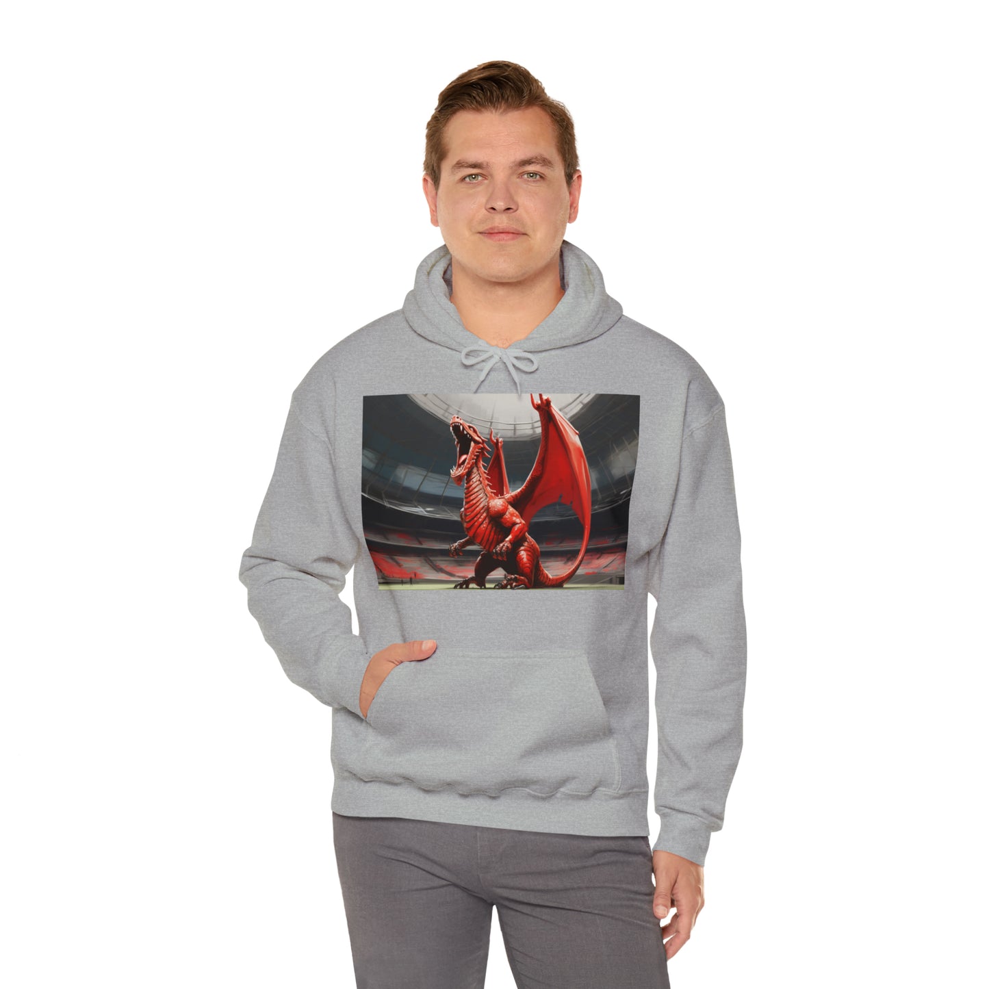Welsh Dragon 2 - light hoodies