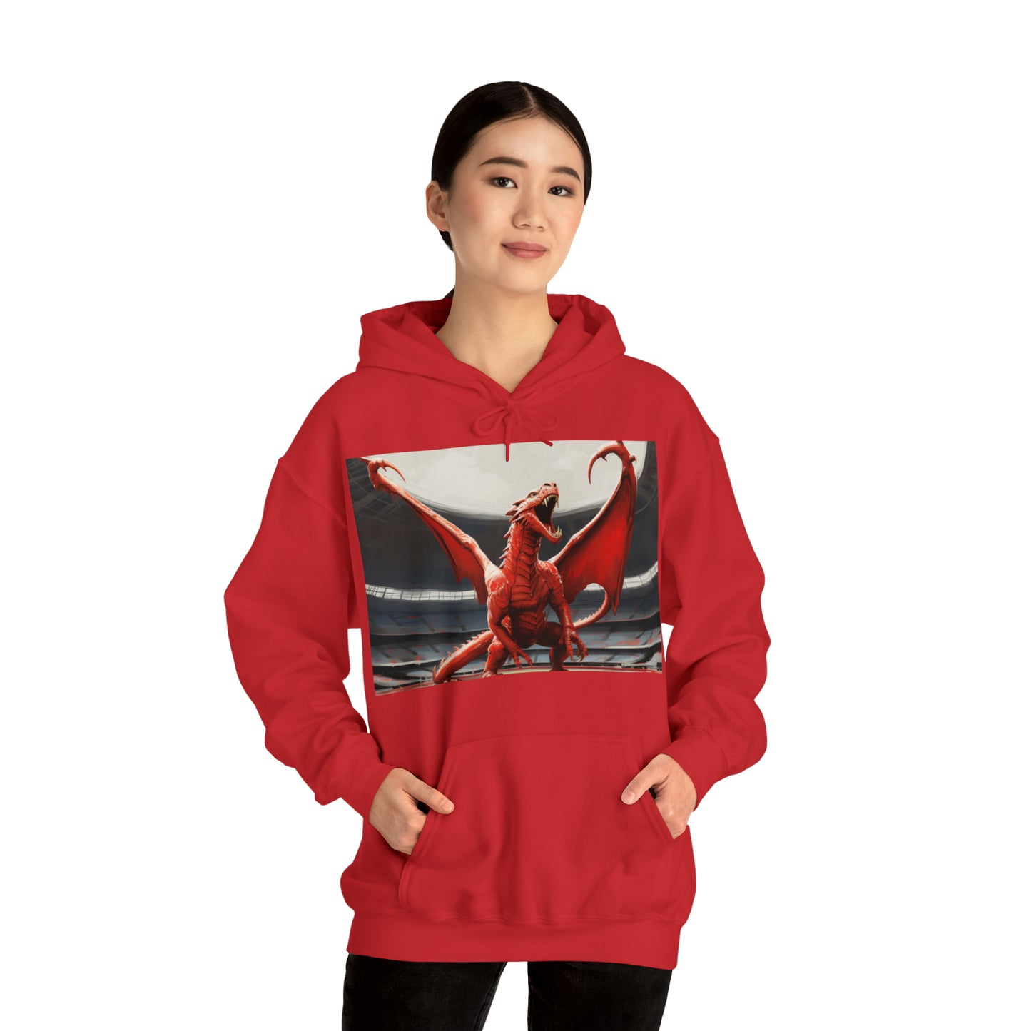 Welsh Dragon - dark hoodies
