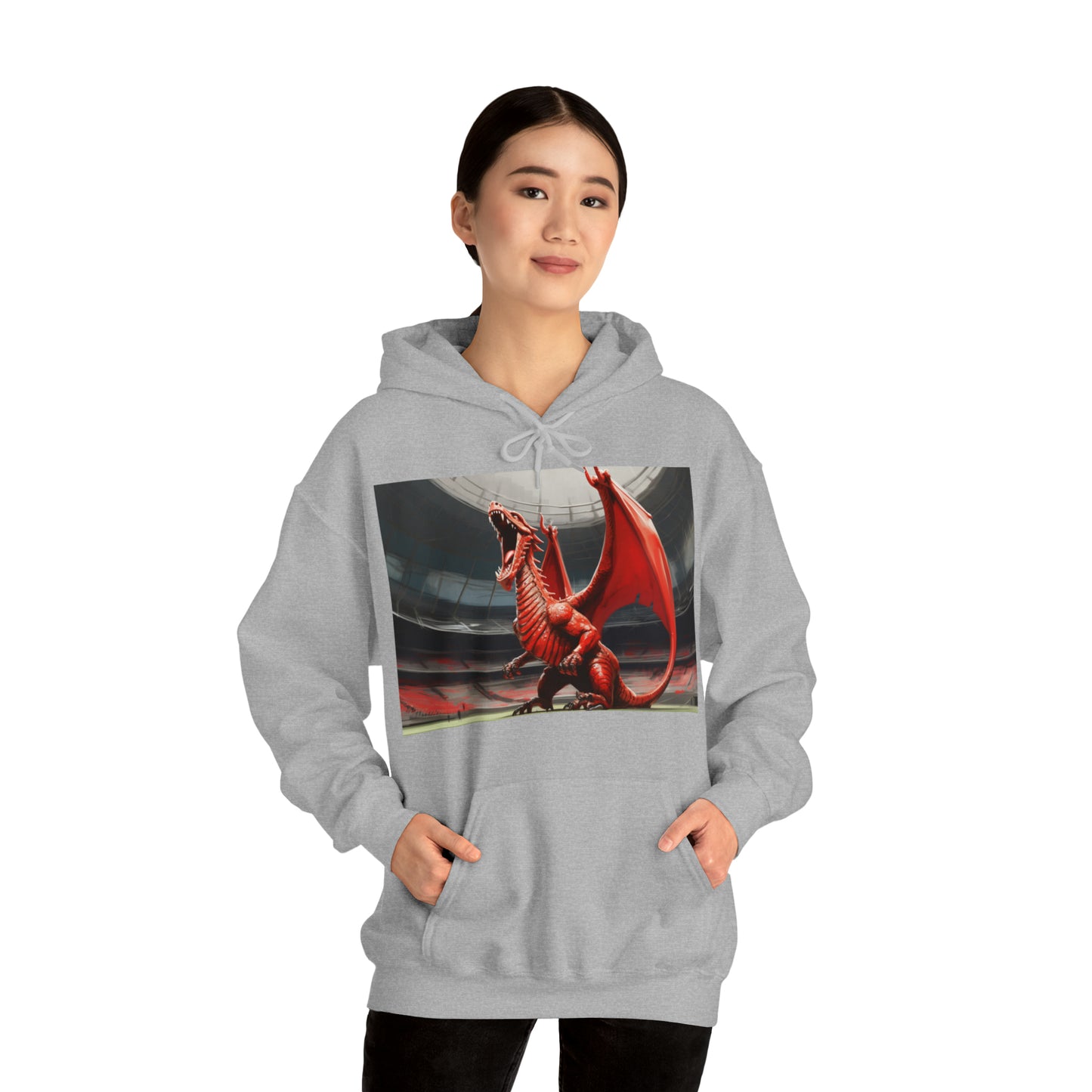 Welsh Dragon 2 - light hoodies