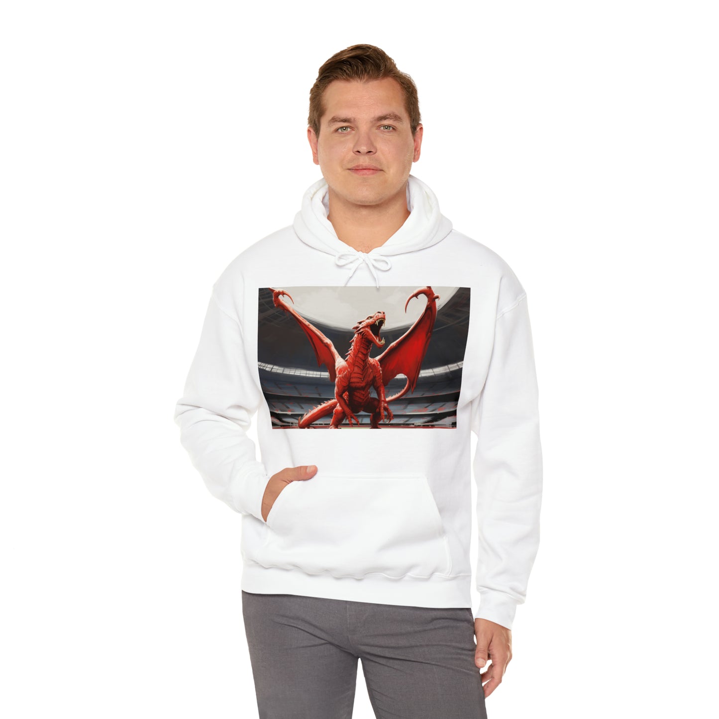Welsh Dragon - light hoodies