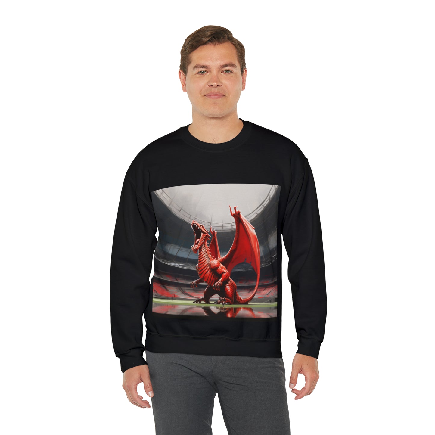 Welsh Dragon 2 - dark sweatshirt