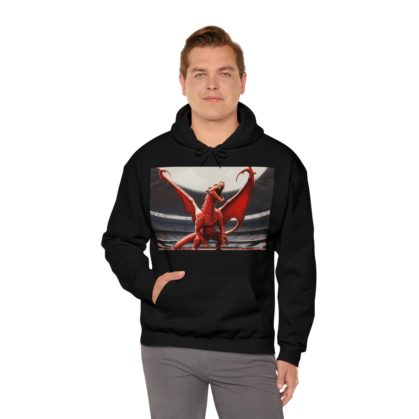 Welsh Dragon - dark hoodies